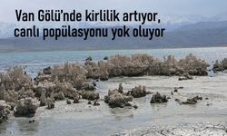 Van Gölü’nde canlı popülasyonu yok oluyor