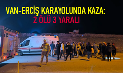 Van-Erciş Karayolu Kaza: 2 Ölü 3 Yaralı