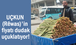 Van'da uçkun tezgâhlardaki yerini aldı! Fiyatı dudak uçuklatıyor