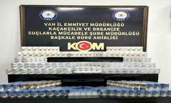 Van’da gümrük kaçakçılığı operasyonu