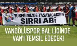 VanGölüspor, BAL Ligi'ne Devam Dedi