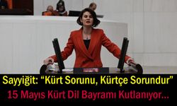 Sayyiğit: “Kürt Sorunu, Kürtçe Sorundur”