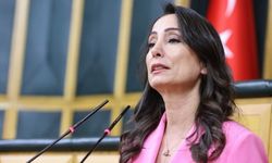 DEM Partisi Eş Genel Başkanı Hatimoğulları: Ertelenen adımlar için engel kalmadı