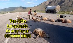 Van-Bitlis karayolunda iki araç koyun sürüsüne çarptı