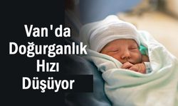 Van ve Bölgede Doğurganlık Hızı Düşüyor