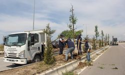 Van Sahil Yolu’nda Kapsamlı Temizlik ve Yenileme Çalışması