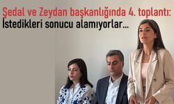 Eşbaşkanlar Zeydan ve Şedal: İstedikleri sonucu alamıyorlar