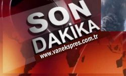 Hindistan'da 242 yolcunun bulunduğu yolcu uçağı düştü