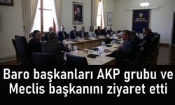 Van ve 15 baro başkanı AKP grubu ve meclis başkanını ziyaret etti