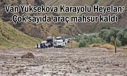 Van-Yüksekova Karayolunda Heyelan: Araçlar mahsur kaldı
