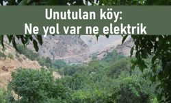 Orda bir köy var uzakta: Ne yol var ne elektrik!