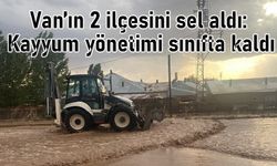Saray ve Özalp'ta sel felaketi: Kayyım yönetimi önlem almadı