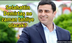 Selahattin Demirtaş Eylül ayında serbest kalabilir
