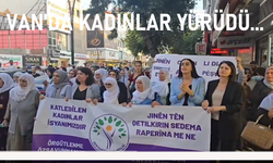 Van’da kadınlar yürüdü: Öz savunma temel hakkımızdır