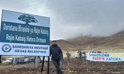 Rojin Kabaiş anısına Gevaş'ta orman kuruldu
