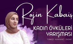 Van Eğitim Sen’den, Rojin Kabaiş Kadın Öyküleri Yarışması