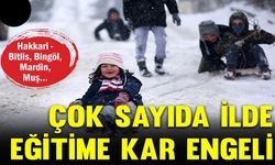 Kar yağışı nedeniyle 13 ilde eğitime ara verildi