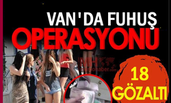 Van'dan Kocaeline uzanan operasyon : 18 Gözaltı
