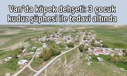 Van’da köpek saldırısı: 3 çocuk kuduz şüphesi ile tedavi altında
