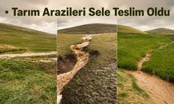 Van Özalp'ta Sel Tarım Arazilerini Vurdu