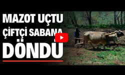 Vanlı Çiftçi: 21. yüzyılda halimizi görüyorsunuz