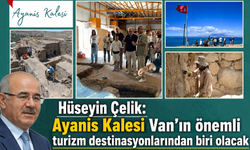 Hüseyin Çelik, Ayanis Kalesi kazılarını ziyaret etti