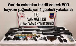 Van'da 800 hayvanı yağmalayan 4 şüpheli yakalandı