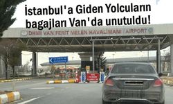 Van'dan giden yolculara şok! THY Bavulları unuttu