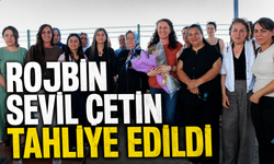 Eski belediye eşbaşkanı Çetin tahliye oldu