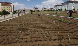 Belediye'den kadın kent bostanı projesi