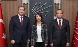 DEM Parti'den, Yeni Parti'ye tebrik mesajı