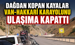 Van-Hakkari karayolu'nda kaya düşmesi: Ulaşım durdu