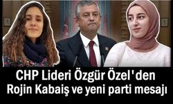 Özgür Özel'den Rojin Kabaiş mesajı