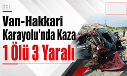 Van'da düğün dönüşü kaza: 1 ölü, 3 yaralı