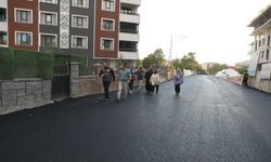 Erciş’te Asfalt Çalışmaları İlçe Genelinde Sürüyor