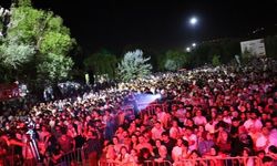 Tatvan Festivali “Wêje û ziman” paneli ile devam etti