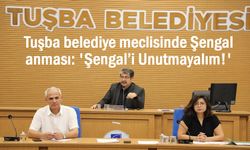 Tuşba belediye meclisi: 'Şengal’i Unutmayalım!'