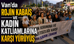 Van’da kadın katliamlarına karşı yürüyüş