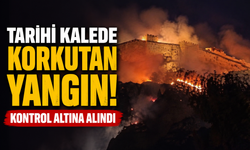 Van kalesinde korkutan yangın! Kontrol altına alındı