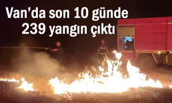 Van’da ekipler 10 günde 239 yangına müdahale etti