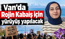 Rojin Kabaiş için yürüyüş yapılacak!