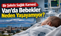 Van’da Bebekler Neden Yaşayamıyor?