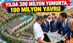 Van’a Avrupa’nın sayılı alabalık tesisi kuruluyor