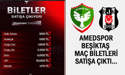Amedspor-Beşiktaş maçı biletleri satışa çıktı