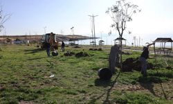 Van’da Mavi Bayraklı Halk Plajı için yeşil dönüşüm