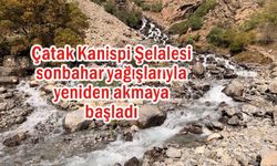 Kanispi Şelalesi sonbahar yağışlarıyla yeniden akmaya başladı