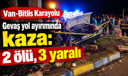 Van-Bitlis kara yolunda kaza: 2 ölü, 3 yaralı