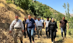 Çatak'ta bıttım ağaçları fıstık için aşılanıyor