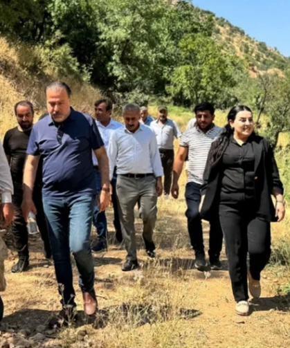 Çatak'ta bıttım ağaçları fıstık için aşılanıyor