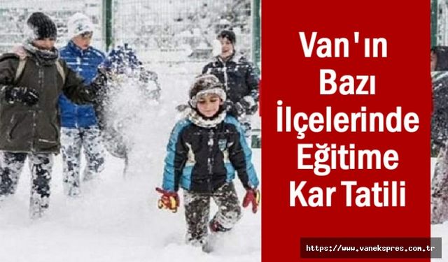 Van’da 6 ilçede okullara kar tatili!